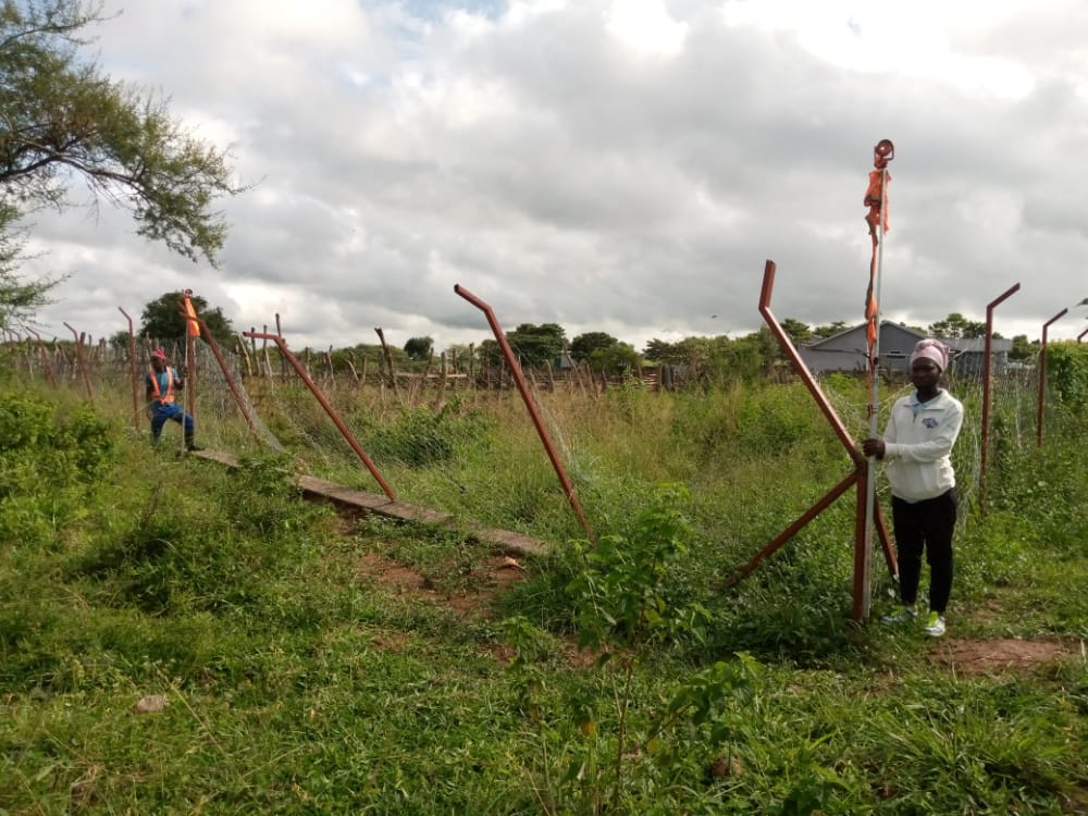 Geco Africa